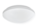 Microwave Motion Sensor Ceiling Mounting Light