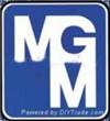 MGM MOTORI ELETTRICI